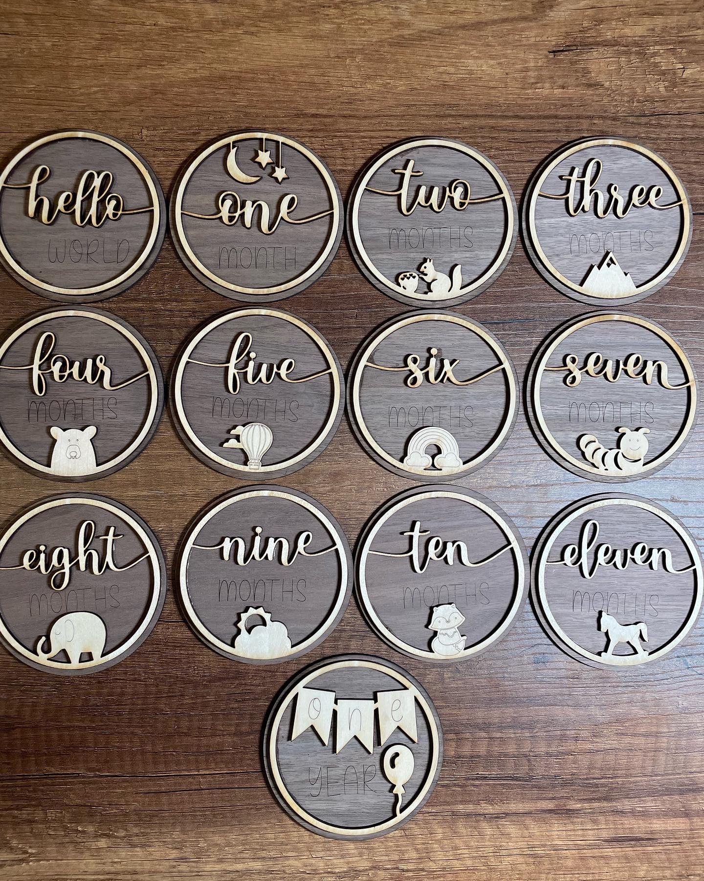 Baby Milestone Discs