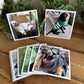 Magnetic Photos